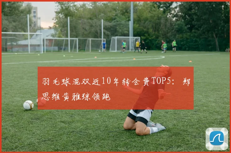 羽毛球混双近10年转会费TOP5:郑思维黄雅琼领跑