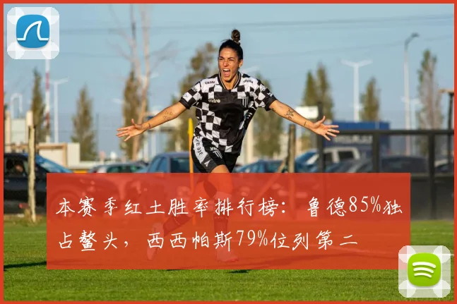 本赛季红土胜率排行榜:鲁德85%独占鳌头,西西帕斯79%位列第二