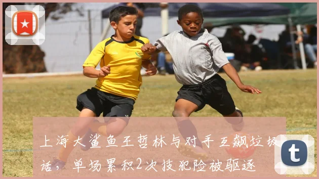 上海大鲨鱼王哲林与对手互飙垃圾话，单场累积2次技犯险被驱逐